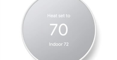 Termostato Google Nest (2020)